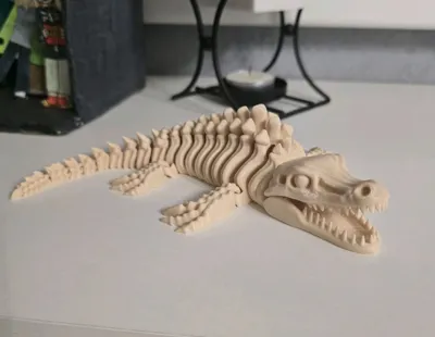 https://makerworld.bblmw.com/makerworld/comment/20260315/3362226725/4dc5213986bea0e8.jpg
