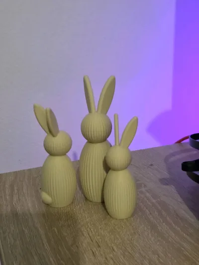 https://makerworld.bblmw.com/makerworld/comment/20260315/3573542518/908f6458da82ec28.jpg