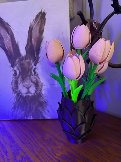 https://makerworld.bblmw.com/makerworld/comment/20260315/4005735705/546593b204a70567.jpg