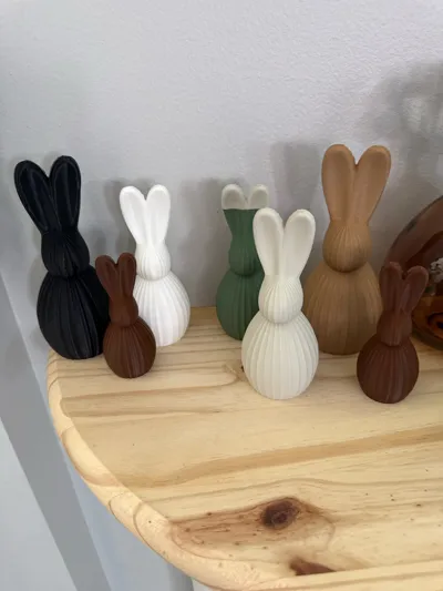 https://makerworld.bblmw.com/makerworld/comment/20260315/4005735705/b8b49d13722da615.jpg