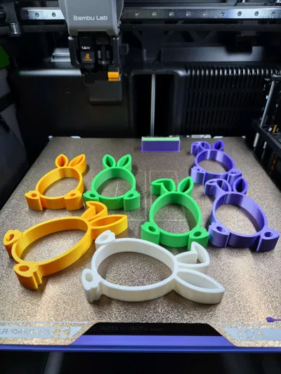 https://makerworld.bblmw.com/makerworld/comment/20260315/4159777741/89f138671a247e13.jpg