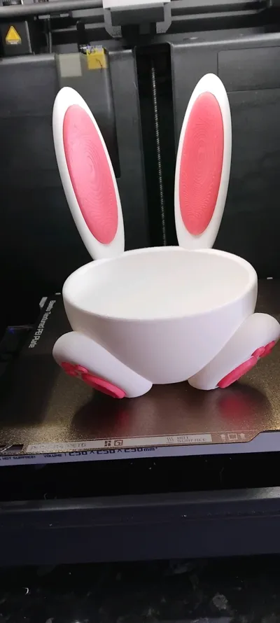 https://makerworld.bblmw.com/makerworld/comment/20260315/537927963/1e7815ff3010dd15.jpg