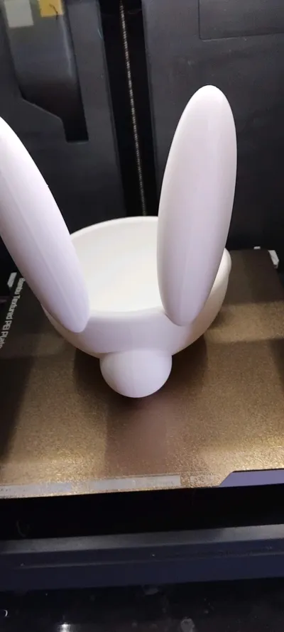 https://makerworld.bblmw.com/makerworld/comment/20260315/537927963/253c56e9d1316144.jpg