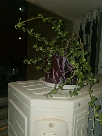 https://makerworld.bblmw.com/makerworld/comment/20260315/688545107/7a6dedd4d5294c1b.jpg