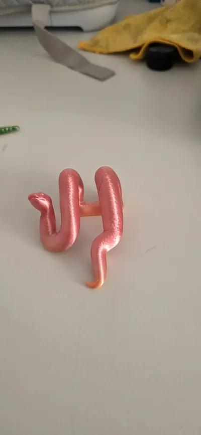 https://makerworld.bblmw.com/makerworld/comment/20260315/822353799/54561e621aae4c21.jpg