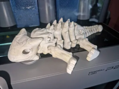 https://makerworld.bblmw.com/makerworld/comment/20260315/948670383/c93c568c5b7378e9.jpg