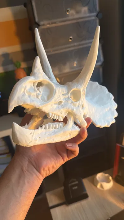 https://makerworld.bblmw.com/makerworld/comment/20260316/11792979/3265ef616b9aa446.jpg