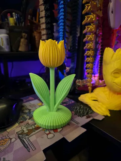 https://makerworld.bblmw.com/makerworld/comment/20260316/1414588473/cb84a8f873481953.jpg