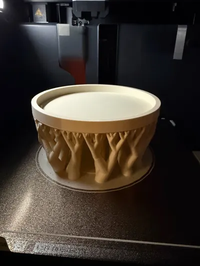 https://makerworld.bblmw.com/makerworld/comment/20260316/1433190903/420c8df8d48421f9.jpg