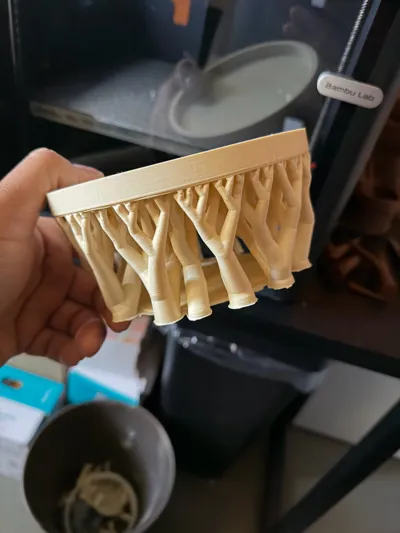 https://makerworld.bblmw.com/makerworld/comment/20260316/1433190903/d9888a0e7320cdad.jpg