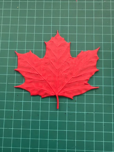 https://makerworld.bblmw.com/makerworld/comment/20260316/1629141628/8a65566158d989da.jpg