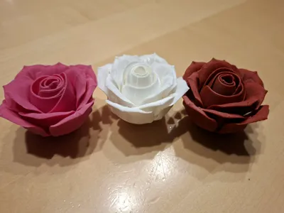 https://makerworld.bblmw.com/makerworld/comment/20260316/1700283897/79511644ff0cf0b3.jpg
