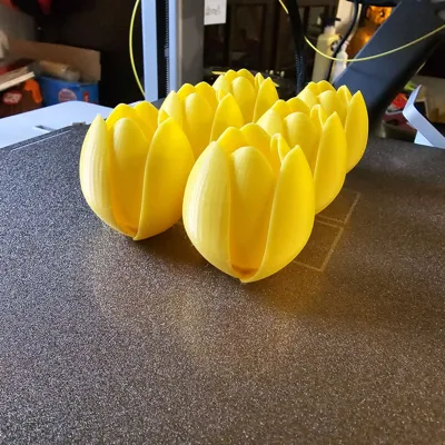 https://makerworld.bblmw.com/makerworld/comment/20260316/1899264439/a379f15810249ca1.jpg
