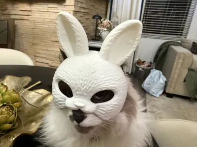 https://makerworld.bblmw.com/makerworld/comment/20260316/1949725235/cf61709552a7fbb1.jpg