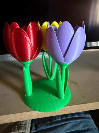 https://makerworld.bblmw.com/makerworld/comment/20260316/2012706197/15f8a0b29133e3bd.jpg