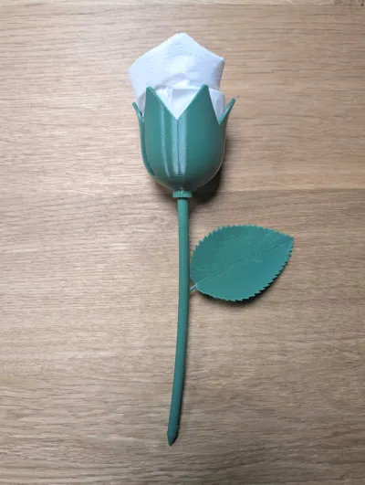 https://makerworld.bblmw.com/makerworld/comment/20260316/2156896028/19b0d11ea79728ff.jpg
