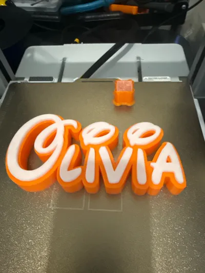 https://makerworld.bblmw.com/makerworld/comment/20260316/217050971/ca249bff71a110d6.jpg