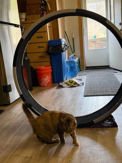 https://makerworld.bblmw.com/makerworld/comment/20260316/2191643874/276a058c7772e5c8.jpg