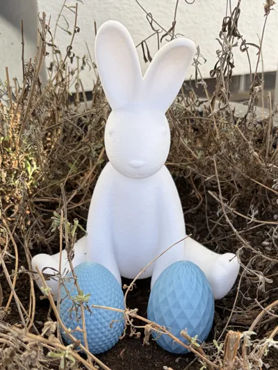 https://makerworld.bblmw.com/makerworld/comment/20260316/2256091678/0fe80ed47fc07359.jpeg