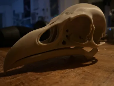 https://makerworld.bblmw.com/makerworld/comment/20260316/2708669372/3d2038fb9ee95768.jpg