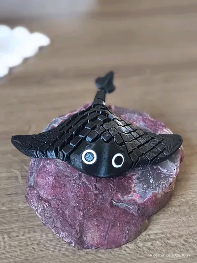 https://makerworld.bblmw.com/makerworld/comment/20260316/2722329060/12016475c48a48d9.jpg