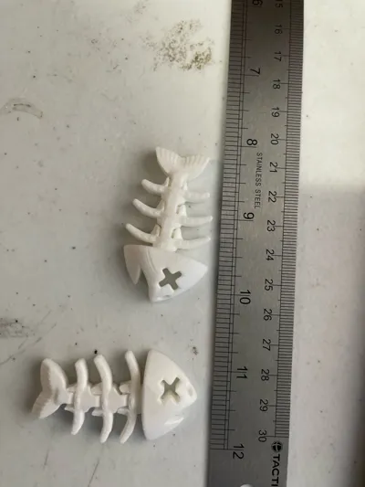 https://makerworld.bblmw.com/makerworld/comment/20260316/2911810367/c6440c1d37554c6e.jpg