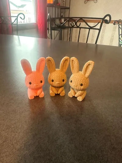 https://makerworld.bblmw.com/makerworld/comment/20260316/2944774313/ca056600bc0c10b4.jpg