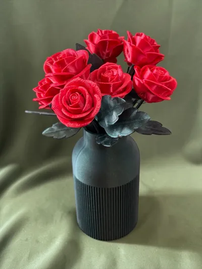 https://makerworld.bblmw.com/makerworld/comment/20260316/2946804604/2e84f16bc61cb08c.jpg