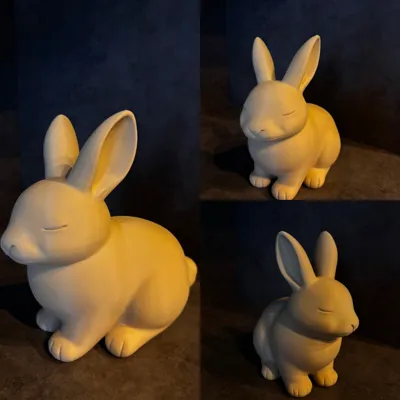 https://makerworld.bblmw.com/makerworld/comment/20260316/2975533379/ce1691852f2ef6a3.jpg