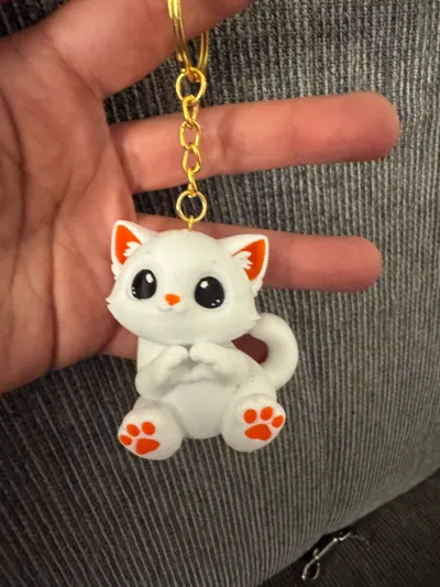 https://makerworld.bblmw.com/makerworld/comment/20260316/3395255785/64caabbd18668e41.jpg