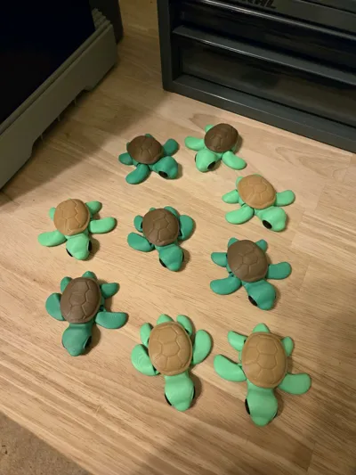 https://makerworld.bblmw.com/makerworld/comment/20260316/3439699255/c14677640fc3999c.jpg