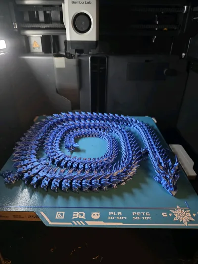 https://makerworld.bblmw.com/makerworld/comment/20260316/359372614/95fef264d93696cd.jpg