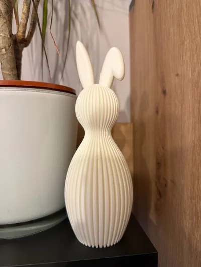 https://makerworld.bblmw.com/makerworld/comment/20260316/3724489279/c4f755928579af8c.jpg