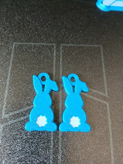 https://makerworld.bblmw.com/makerworld/comment/20260316/3912518614/eb098cdedb2e5047.jpg