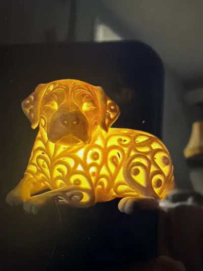 https://makerworld.bblmw.com/makerworld/comment/20260317/106704520/eecf820e2f627844.jpg