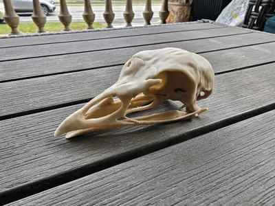 https://makerworld.bblmw.com/makerworld/comment/20260317/1286245988/41c15b0543ec6859.jpg