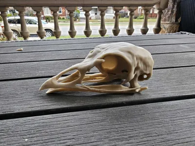 https://makerworld.bblmw.com/makerworld/comment/20260317/1286245988/efb9907c645aa115.jpg