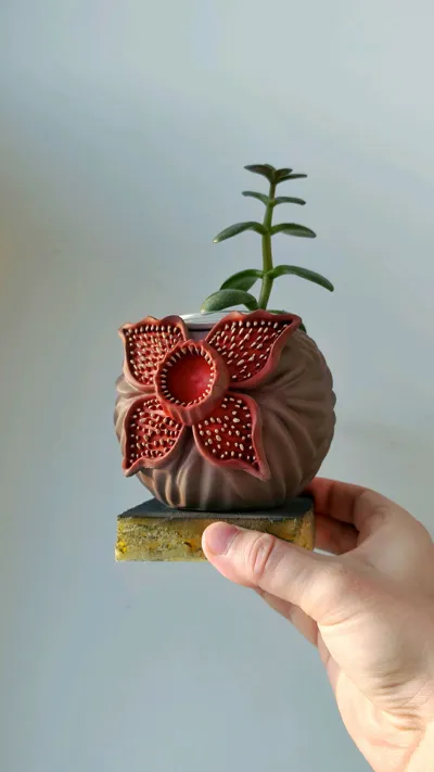 https://makerworld.bblmw.com/makerworld/comment/20260317/1527664249/9aed4cae9be6c0b8.jpg
