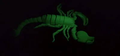 https://makerworld.bblmw.com/makerworld/comment/20260317/1726491639/5424b35b729ead2c.jpg