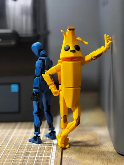 https://makerworld.bblmw.com/makerworld/comment/20260317/177592272/e0a3d6a7bcb5bb9f.jpg