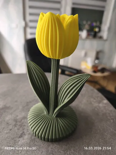 https://makerworld.bblmw.com/makerworld/comment/20260317/2069434675/76892fdf0f3b1cff.jpg