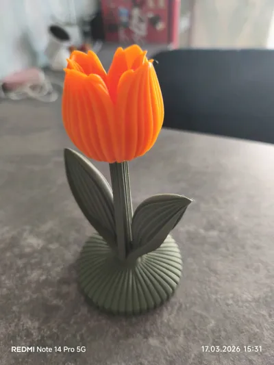 https://makerworld.bblmw.com/makerworld/comment/20260317/2069434675/7a7a3eae9ab1508a.jpg