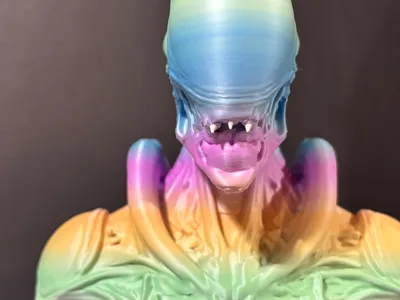 https://makerworld.bblmw.com/makerworld/comment/20260317/2338811440/6123e3b181901403.jpg