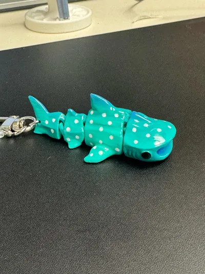 https://makerworld.bblmw.com/makerworld/comment/20260317/240700288/bbd2e8fc864c6aee.jpg