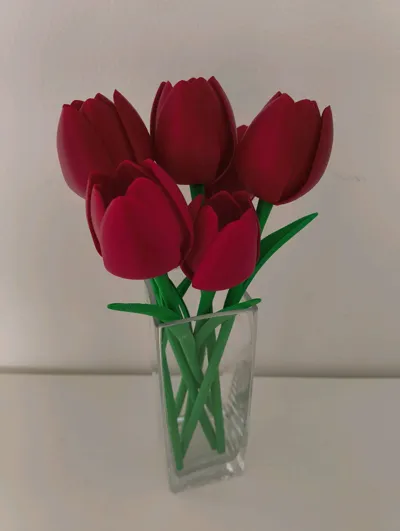 https://makerworld.bblmw.com/makerworld/comment/20260317/2537424574/c6c7c58c8a57d05c.jpg