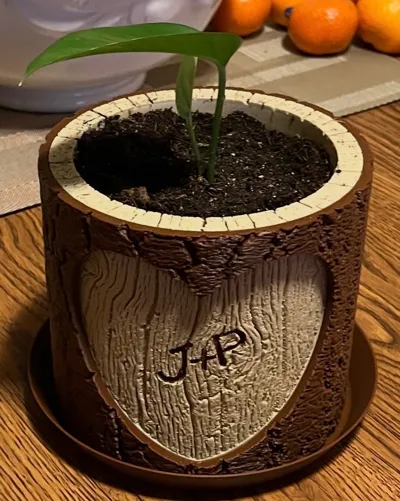 https://makerworld.bblmw.com/makerworld/comment/20260317/2552480899/26050f3a46c62c04.jpg