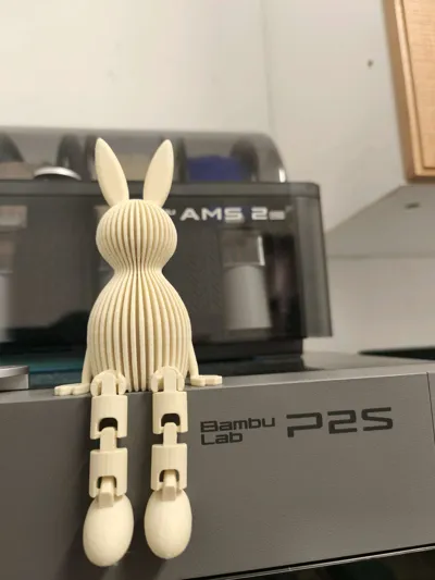 https://makerworld.bblmw.com/makerworld/comment/20260317/2698740071/0139357dd2749f10.jpg
