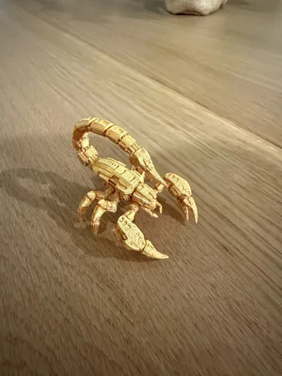 https://makerworld.bblmw.com/makerworld/comment/20260317/2905561245/f720c6c59b636de1.jpg