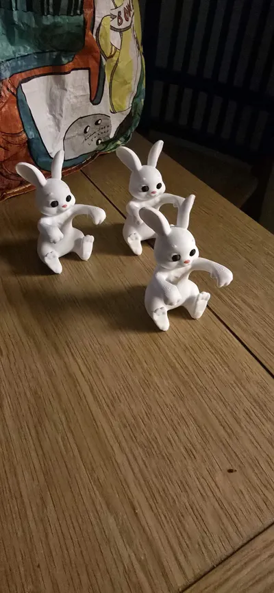 https://makerworld.bblmw.com/makerworld/comment/20260317/2953282479/47be61c1bca8e894.jpg