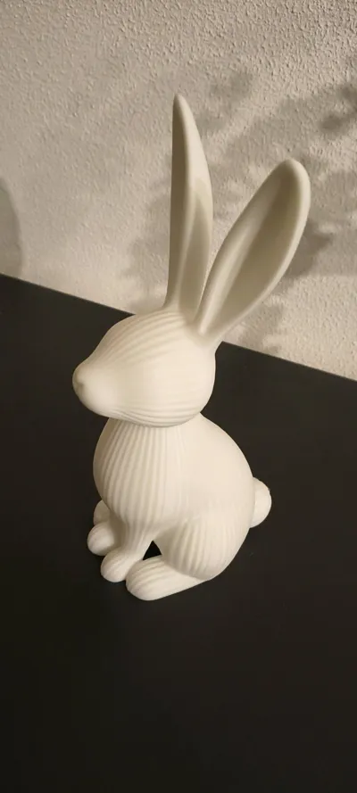 https://makerworld.bblmw.com/makerworld/comment/20260317/30213389/9886448f974c1491.jpg